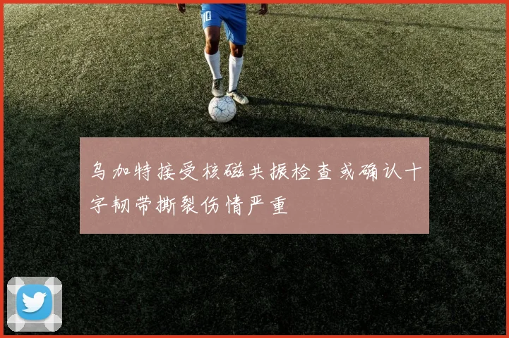 乌加特接受核磁共振检查或确认十字韧带撕裂伤情严重